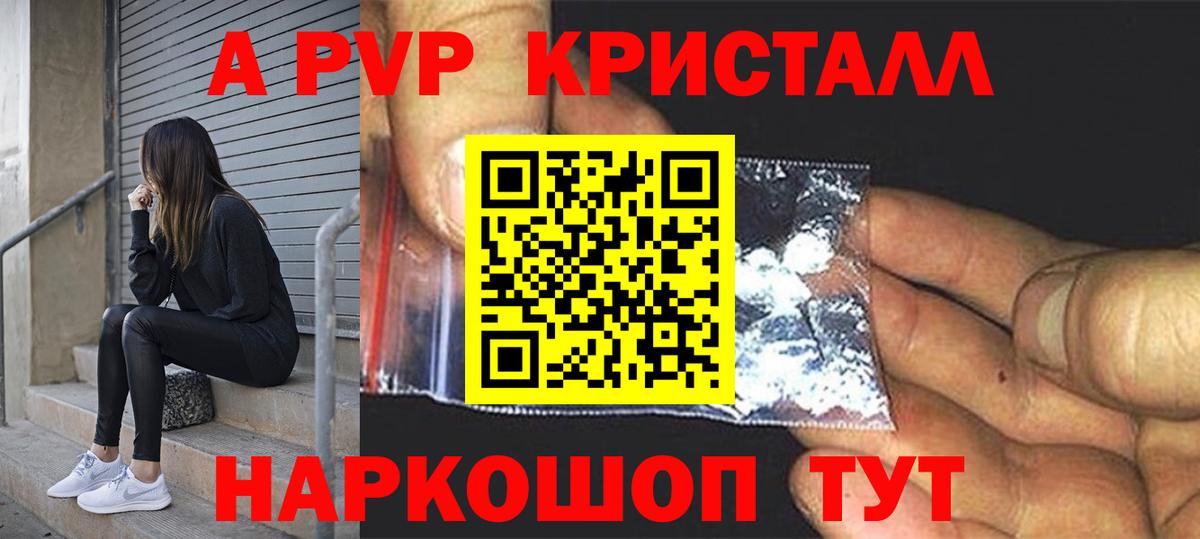 Alfa_PVP СК Вологда