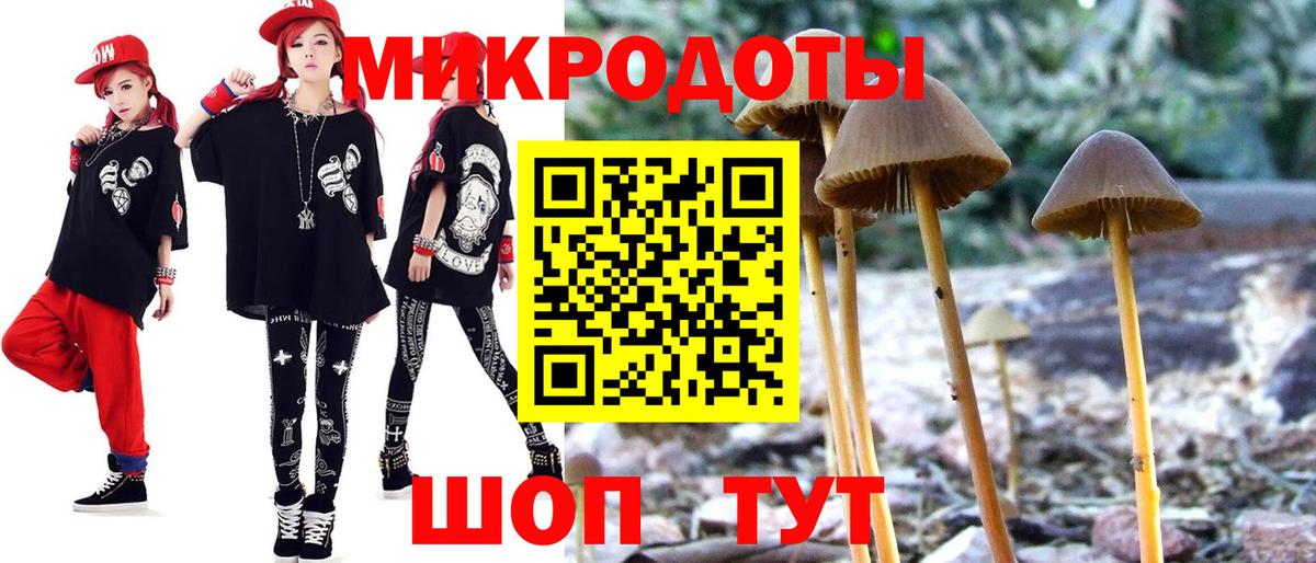 Псилоцибиновые грибы мицелий  Вход с VPN  Вологда 