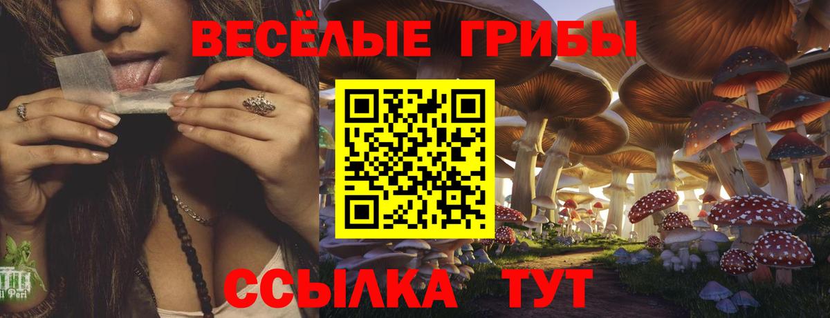  COCAIN Вологда